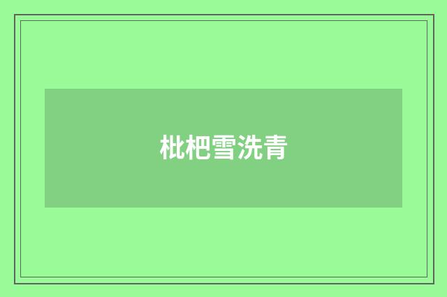枇杷雪洗青