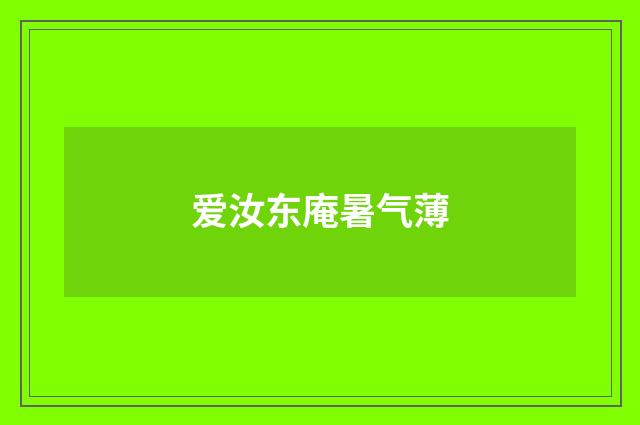 爱汝东庵暑气薄