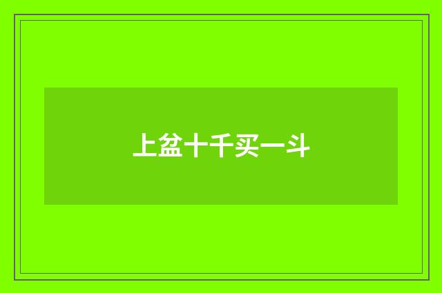 上盆十千买一斗