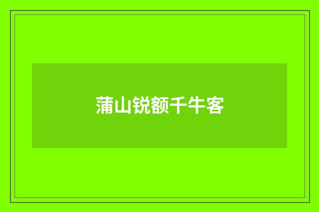 蒲山锐额千牛客