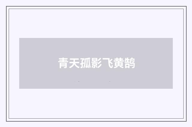 青天孤影飞黄鹄