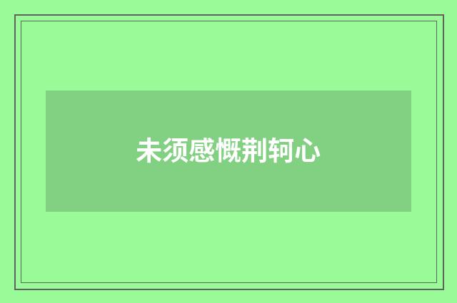 未须感慨荆轲心