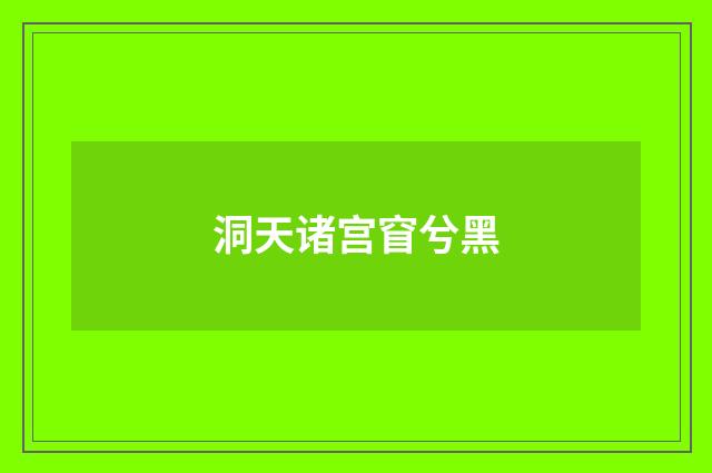 洞天诸宫窅兮黑