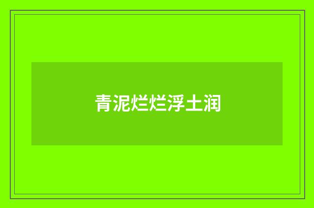 青泥烂烂浮土润