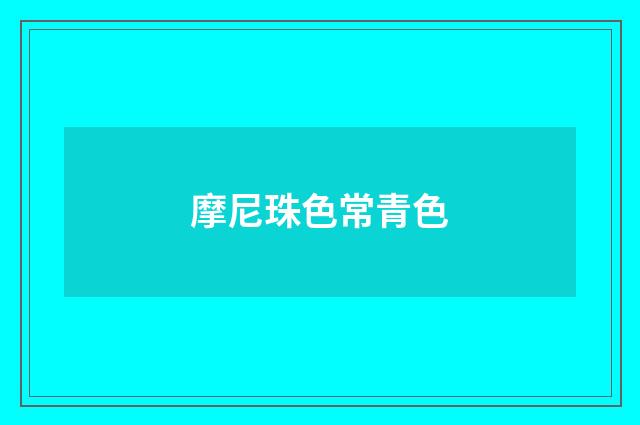 摩尼珠色常青色