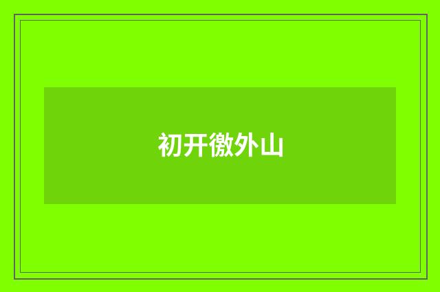 初开徼外山