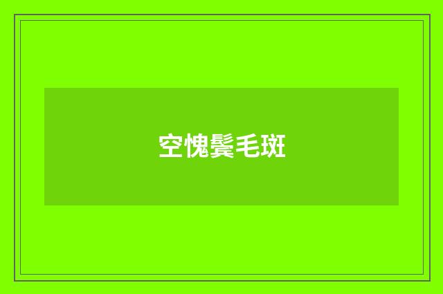 空愧鬓毛斑