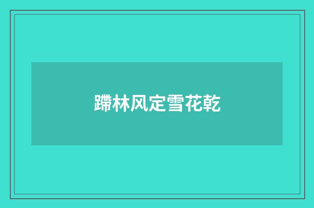 蹛林风定雪花乾