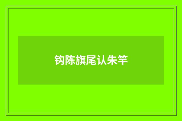 钩陈旗尾认朱竿
