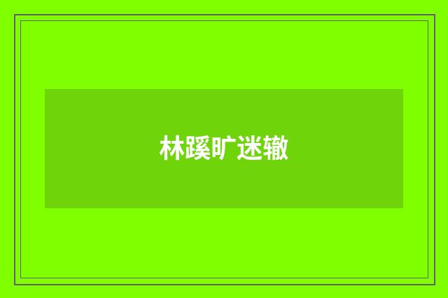 林蹊旷迷辙