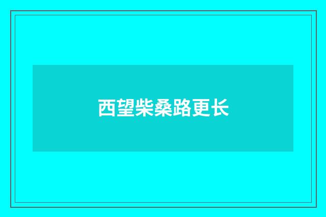 西望柴桑路更长