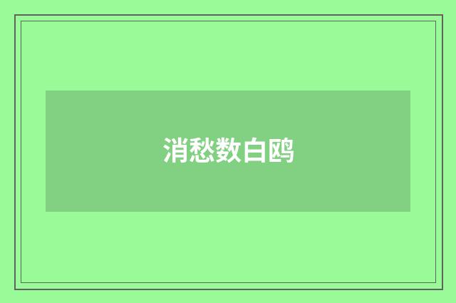 消愁数白鸥