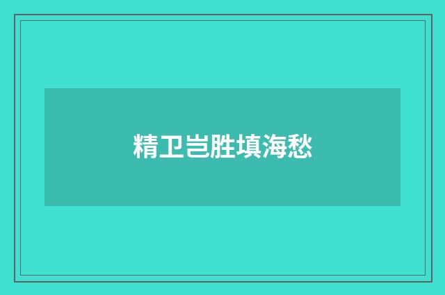 精卫岂胜填海愁