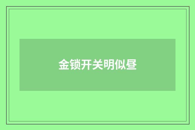 金锁开关明似昼