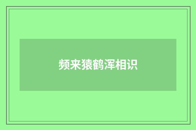 频来猿鹤浑相识