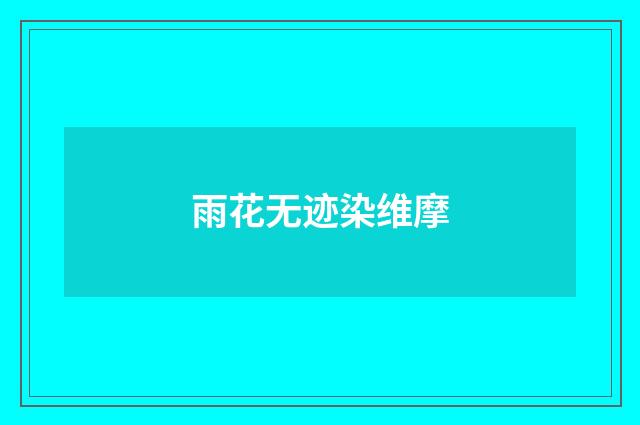 雨花无迹染维摩