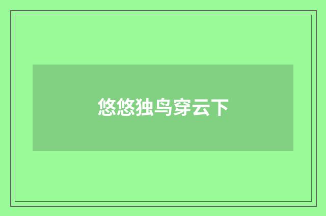 悠悠独鸟穿云下