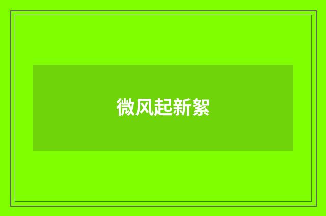 微风起新絮