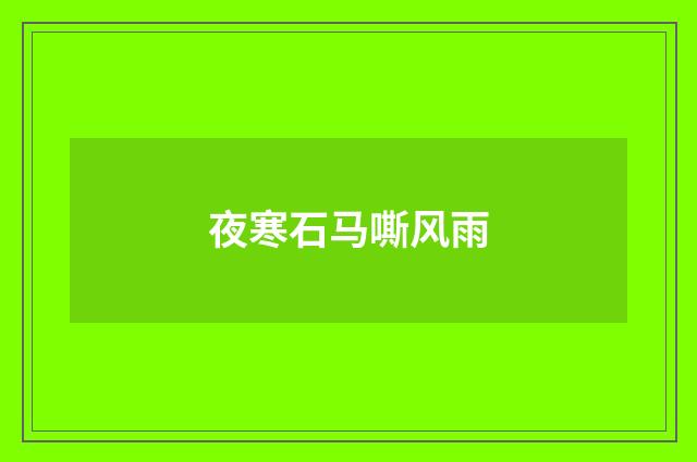 夜寒石马嘶风雨