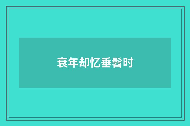 衰年却忆垂髫时
