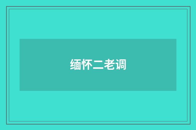 缅怀二老调