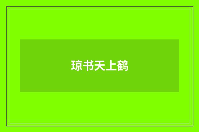 琼书天上鹤