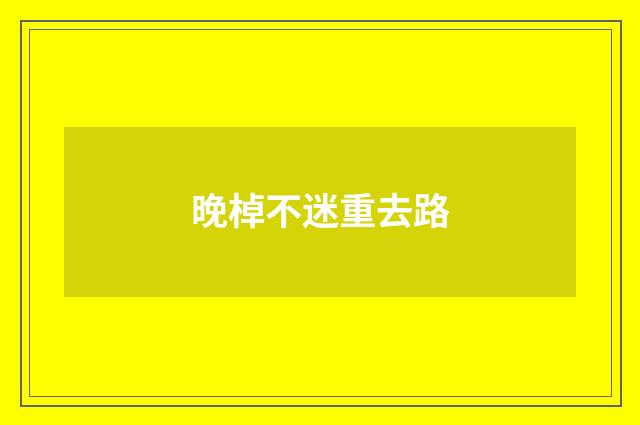 晚棹不迷重去路