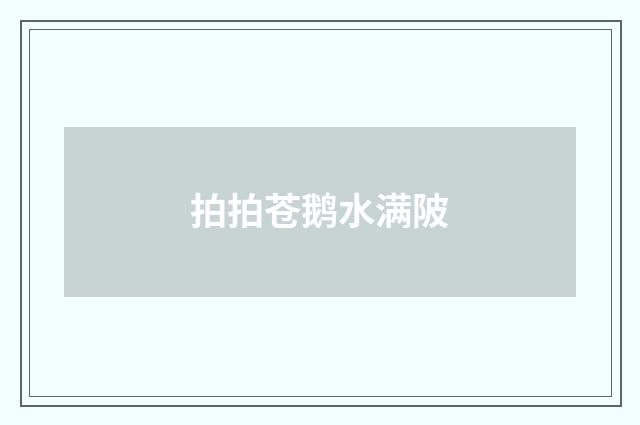 拍拍苍鹅水满陂