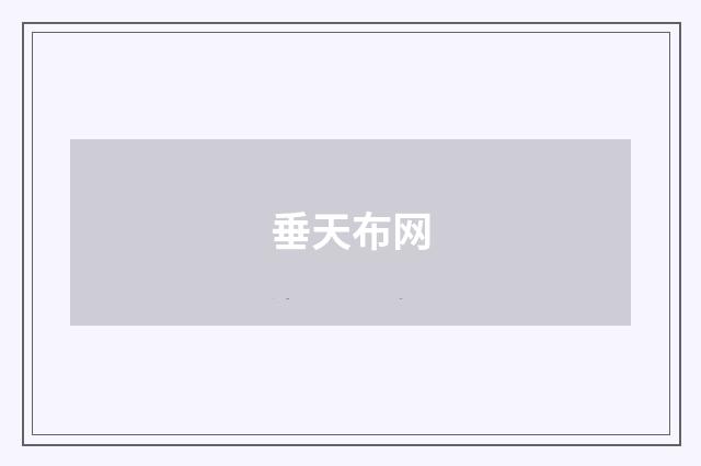 垂天布网