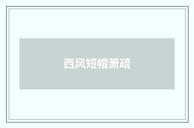 西风短帽萧疏