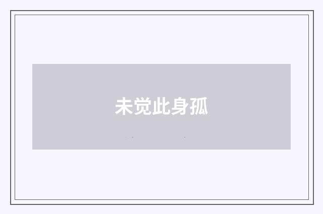未觉此身孤