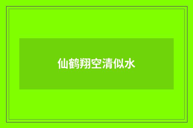 仙鹤翔空清似水
