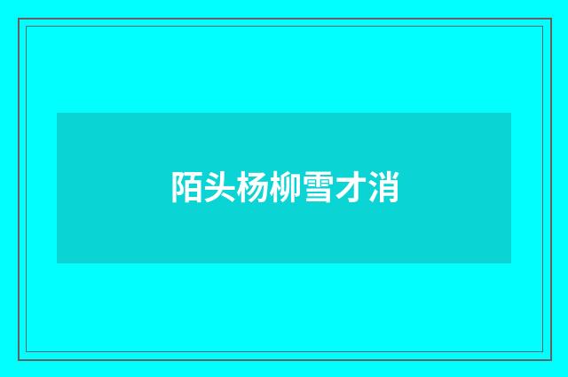 陌头杨柳雪才消