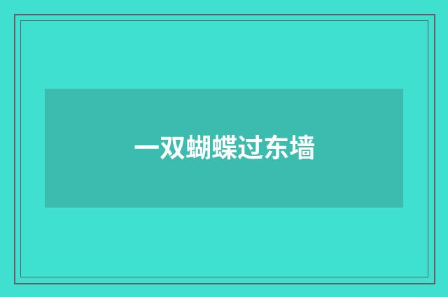 一双蝴蝶过东墙