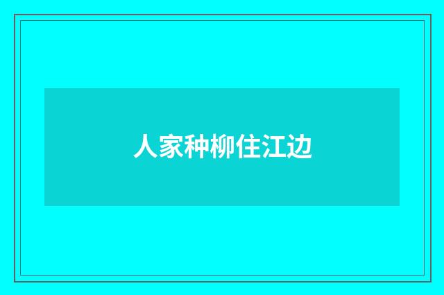 人家种柳住江边