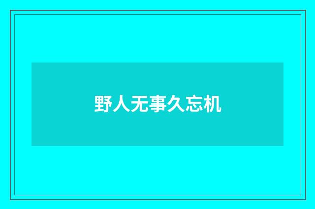 野人无事久忘机