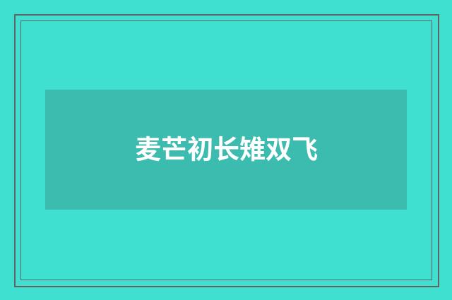 麦芒初长雉双飞