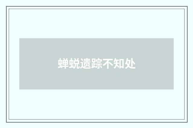 蝉蜕遗踪不知处