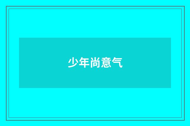 少年尚意气