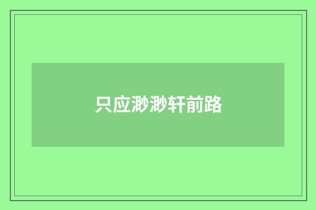 只应渺渺轩前路