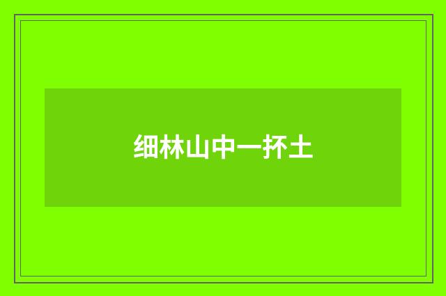 细林山中一抔土