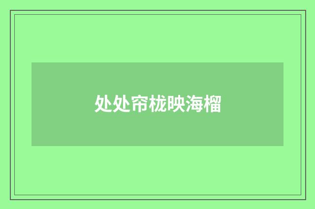 处处帘栊映海榴