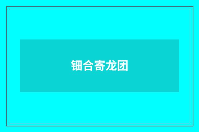 钿合寄龙团