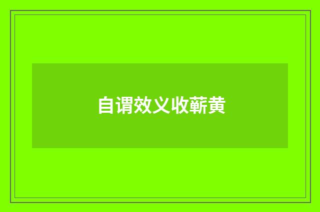 自谓效义收蕲黄