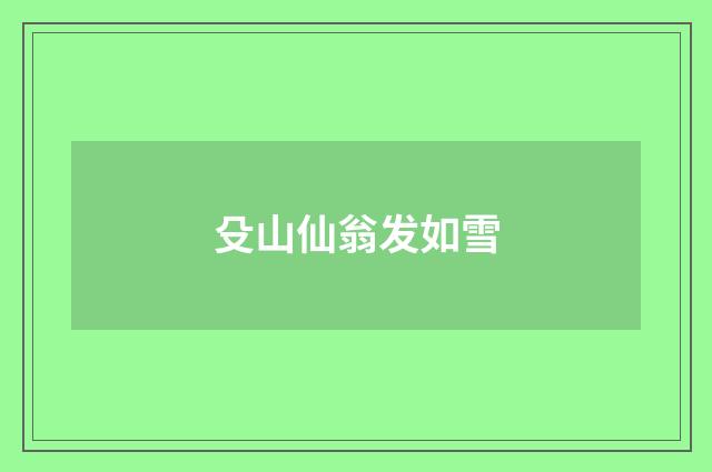 殳山仙翁发如雪