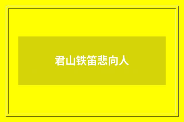 君山铁笛悲向人