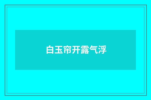 白玉帘开露气浮
