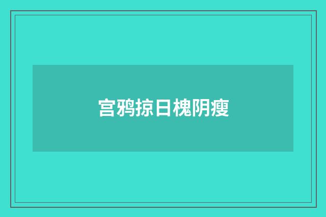 宫鸦掠日槐阴瘦
