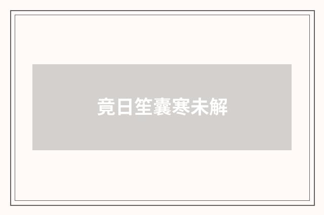 竟日笙囊寒未解