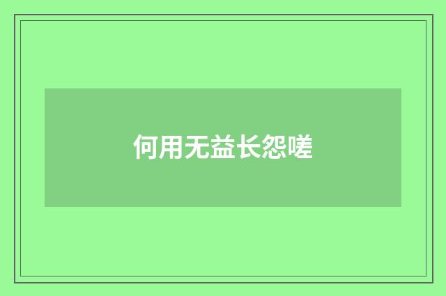 何用无益长怨嗟